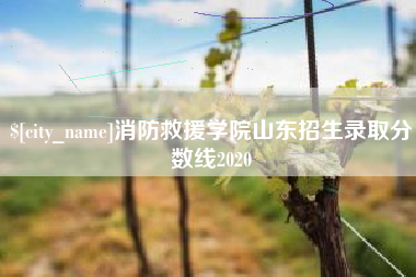 齐齐哈尔消防救援学院山东招生录取分数线2020