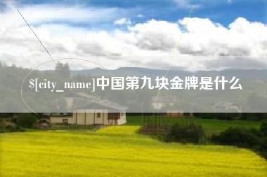 齐齐哈尔中国第九块金牌是什么