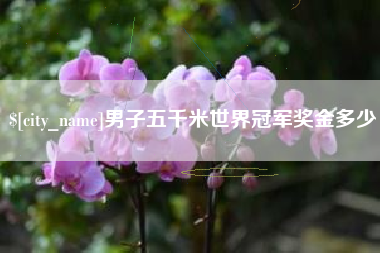 齐齐哈尔男子五千米世界冠军奖金多少