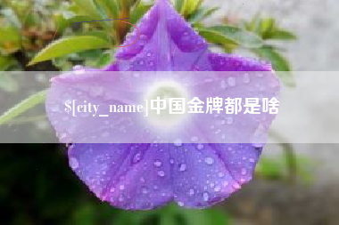 齐齐哈尔中国金牌都是啥