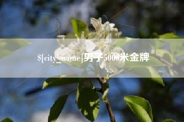 齐齐哈尔男子5000米金牌