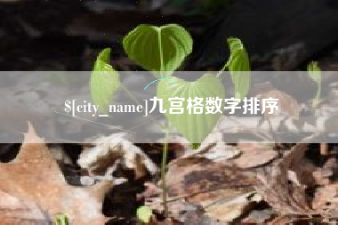 齐齐哈尔九宫格数字排序
