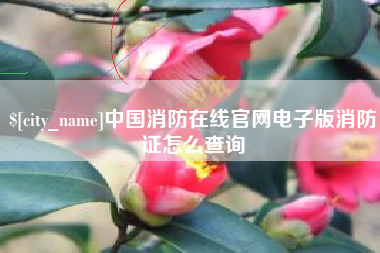 齐齐哈尔中国消防在线官网电子版消防证怎么查询