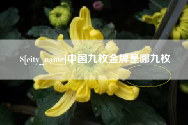 齐齐哈尔中国九枚金牌是哪九枚