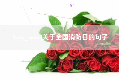 齐齐哈尔关于全国消防日的句子