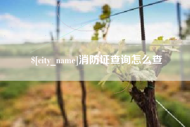 齐齐哈尔消防证查询怎么查
