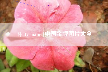 齐齐哈尔中国金牌图片大全