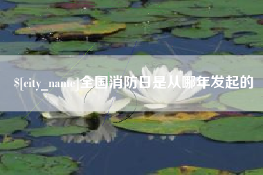 齐齐哈尔全国消防日是从哪年发起的