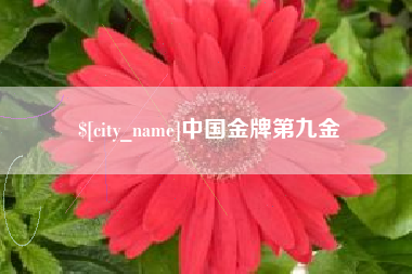 齐齐哈尔中国金牌第九金