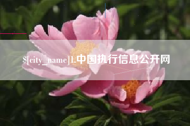 齐齐哈尔1.中国执行信息公开网
