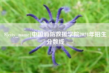 齐齐哈尔中国消防救援学院2024年招生分数线