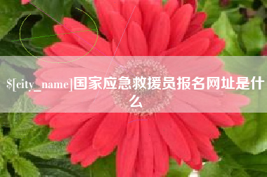 齐齐哈尔国家应急救援员报名网址是什么