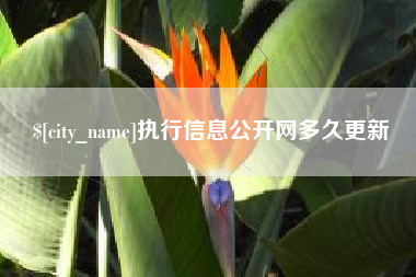 齐齐哈尔执行信息公开网多久更新