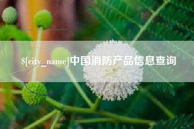 齐齐哈尔中国消防产品信息查询