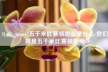 齐齐哈尔五千米比赛领跑员是什么-他们就是五千米比赛领跑员