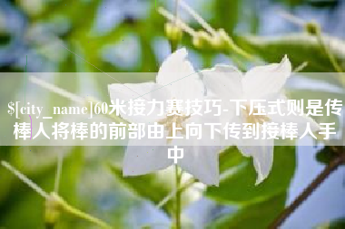 齐齐哈尔60米接力赛技巧-下压式则是传棒人将棒的前部由上向下传到接棒人手中