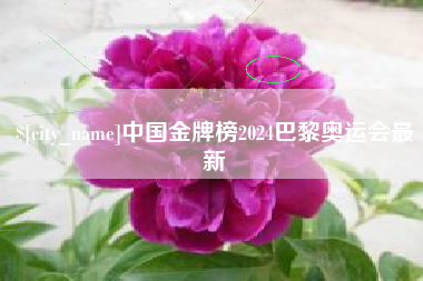 齐齐哈尔中国金牌榜2024巴黎奥运会最新