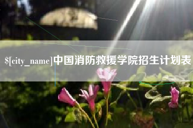 齐齐哈尔中国消防救援学院招生计划表