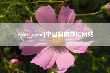 齐齐哈尔中国消防救援网站