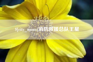 齐齐哈尔消防救援总队王星