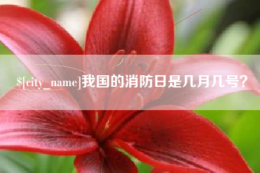齐齐哈尔我国的消防日是几月几号？
