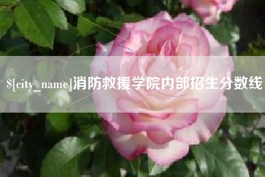 齐齐哈尔消防救援学院内部招生分数线