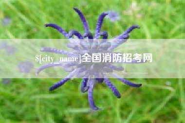 齐齐哈尔全国消防招考网