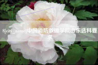 齐齐哈尔中国消防救援学院山东选科要求