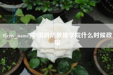 齐齐哈尔中国消防救援学院什么时候政审