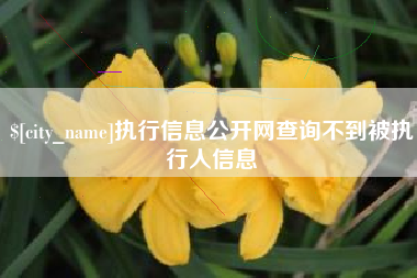 齐齐哈尔执行信息公开网查询不到被执行人信息