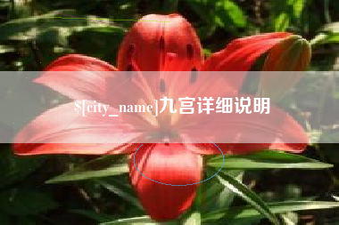 齐齐哈尔九宫详细说明