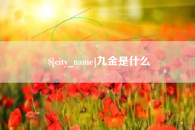 齐齐哈尔九金是什么
