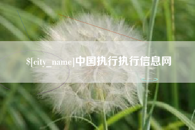 齐齐哈尔中国执行执行信息网