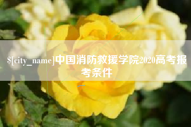 齐齐哈尔中国消防救援学院2020高考报考条件