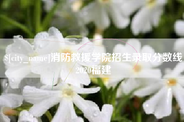 齐齐哈尔消防救援学院招生录取分数线2020福建