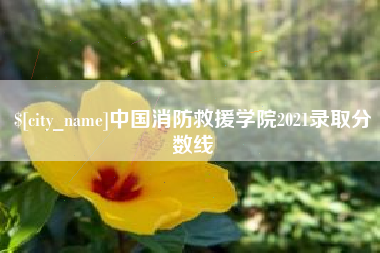 齐齐哈尔中国消防救援学院2021录取分数线