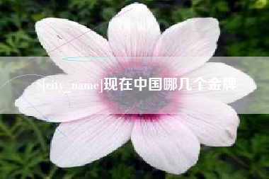 齐齐哈尔现在中国哪几个金牌