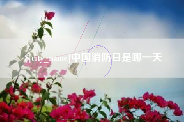 齐齐哈尔中国消防日是哪一天