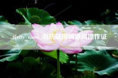 齐齐哈尔消防证国网查询操作证