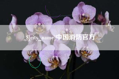 齐齐哈尔中国消防官方