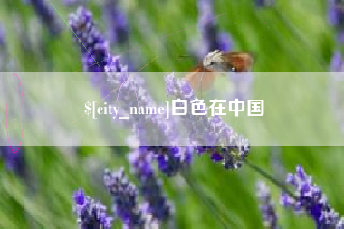 齐齐哈尔白色在中国