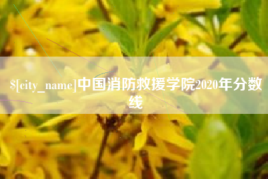 齐齐哈尔中国消防救援学院2020年分数线