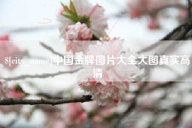 齐齐哈尔中国金牌图片大全大图真实高清
