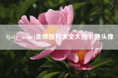 齐齐哈尔金牌图片大全大图卡通头像