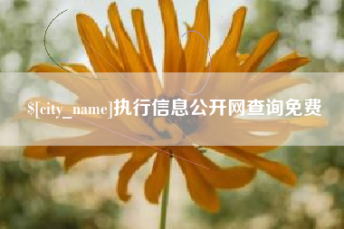 齐齐哈尔执行信息公开网查询免费
