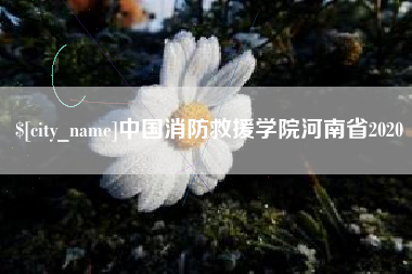 齐齐哈尔中国消防救援学院河南省2020
